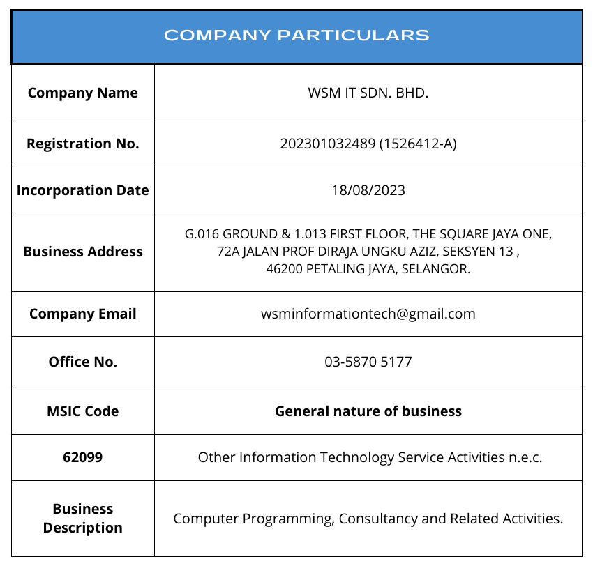 WSM IT company particulars document preview